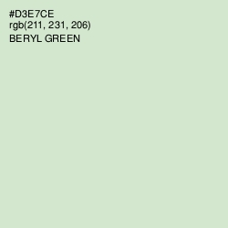 #D3E7CE - Beryl Green Color Image